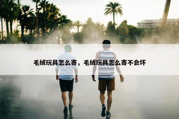 毛绒玩具怎么寄，毛绒玩具怎么寄不会坏