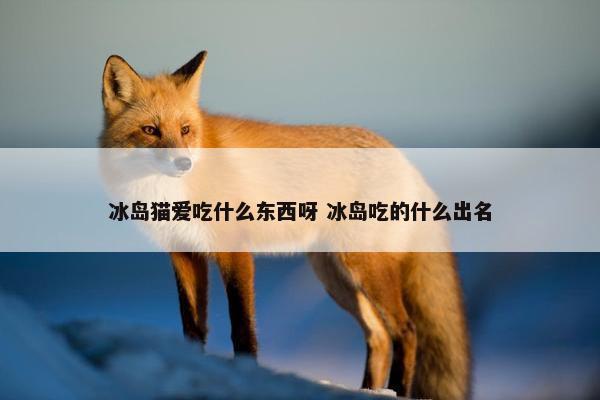 冰岛猫爱吃什么东西呀 冰岛吃的什么出名