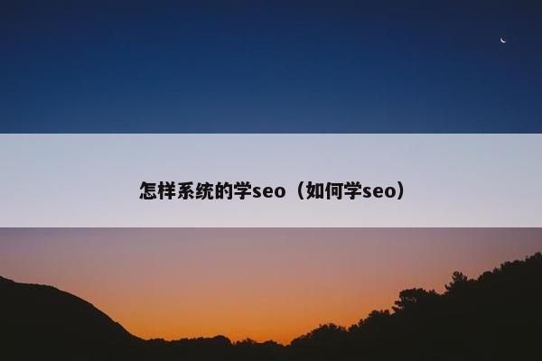 怎样系统的学seo（如何学seo）