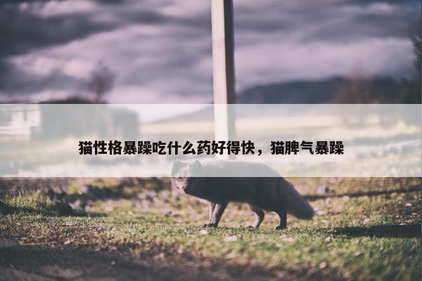 猫性格暴躁吃什么药好得快，猫脾气暴躁