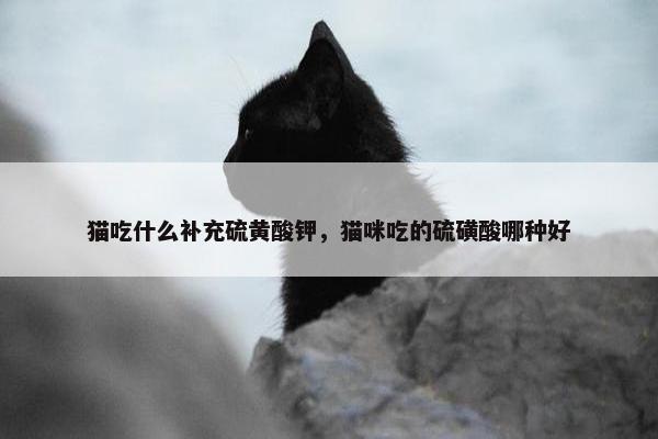 猫吃什么补充硫黄酸钾，猫咪吃的硫磺酸哪种好