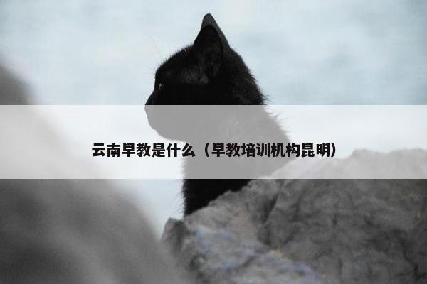 云南早教是什么（早教培训机构昆明）