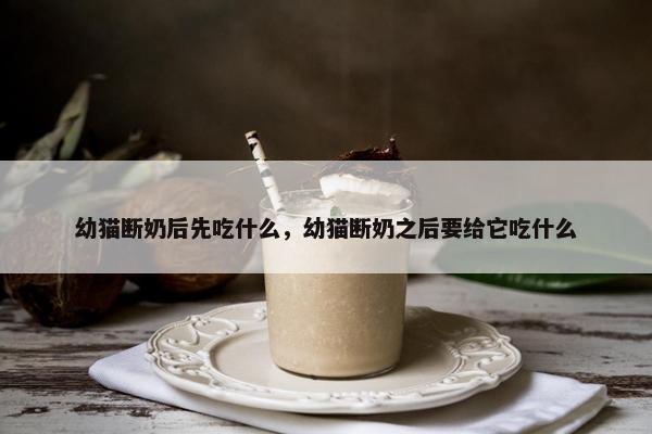 幼猫断奶后先吃什么，幼猫断奶之后要给它吃什么