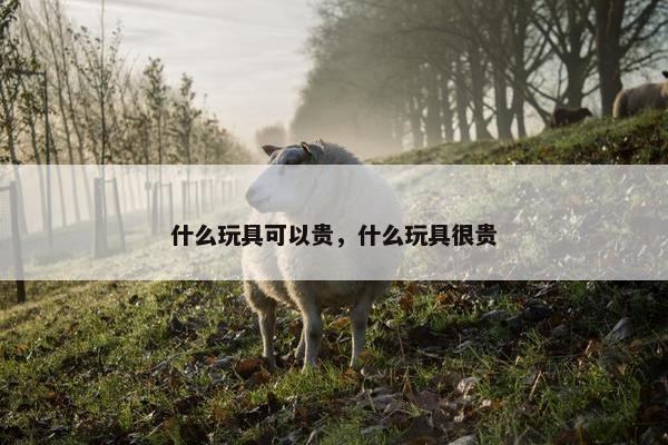 什么玩具可以贵，什么玩具很贵