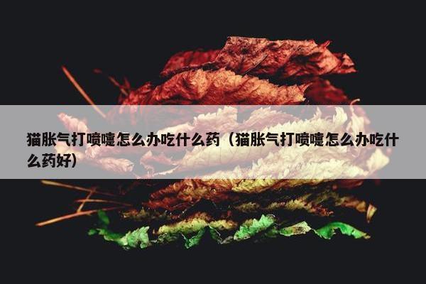 猫胀气打喷嚏怎么办吃什么药（猫胀气打喷嚏怎么办吃什么药好）