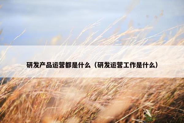 研发产品运营都是什么（研发运营工作是什么）