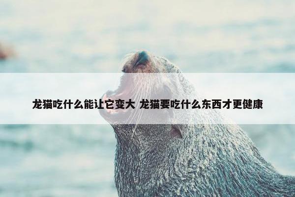 龙猫吃什么能让它变大 龙猫要吃什么东西才更健康