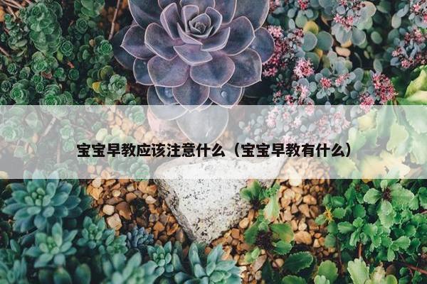 宝宝早教应该注意什么（宝宝早教有什么）