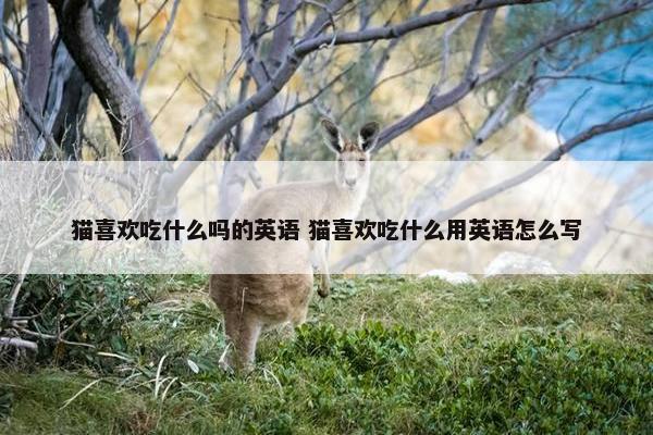 猫喜欢吃什么吗的英语 猫喜欢吃什么用英语怎么写