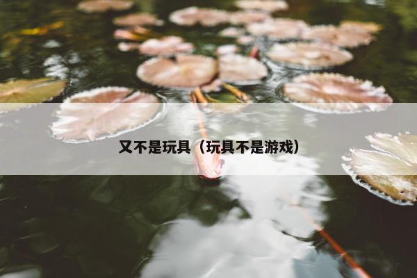 又不是玩具（玩具不是游戏）