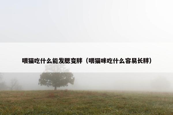 喂猫吃什么能发腮变胖（喂猫咪吃什么容易长胖）