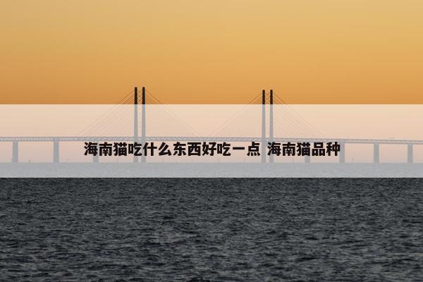 海南猫吃什么东西好吃一点 海南猫品种