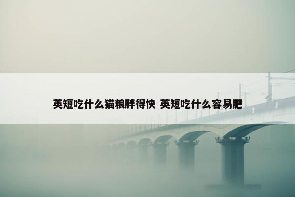 英短吃什么猫粮胖得快 英短吃什么容易肥