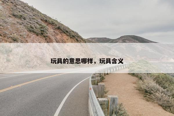 玩具的意思哪样，玩具含义