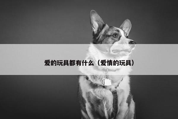 爱的玩具都有什么（爱情的玩具）