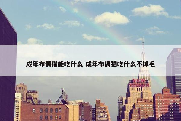 成年布偶猫能吃什么 成年布偶猫吃什么不掉毛