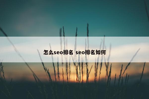 怎么seo排名 seo排名如何