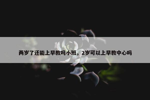 两岁了还能上早教吗小班，2岁可以上早教中心吗