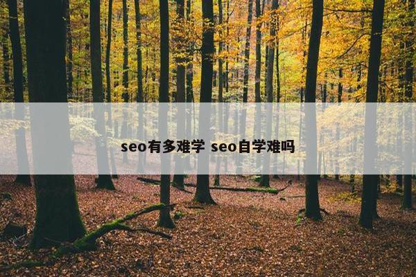 seo有多难学 seo自学难吗