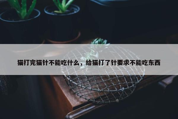 猫打完猫针不能吃什么，给猫打了针要求不能吃东西