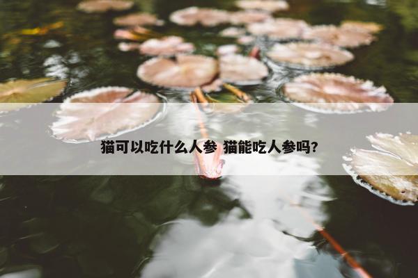 猫可以吃什么人参 猫能吃人参吗?