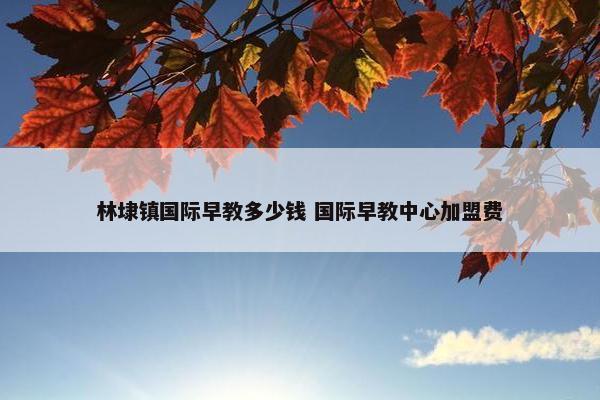 林埭镇国际早教多少钱 国际早教中心加盟费