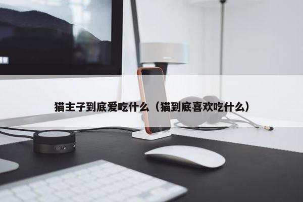 猫主子到底爱吃什么（猫到底喜欢吃什么）