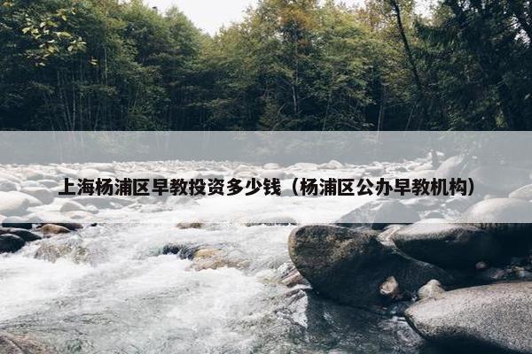 上海杨浦区早教投资多少钱（杨浦区公办早教机构）