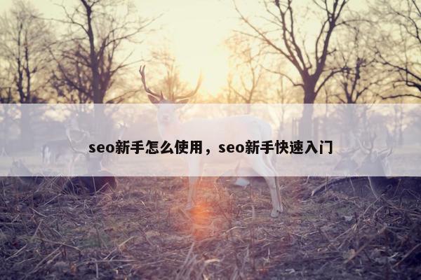 seo新手怎么使用，seo新手快速入门