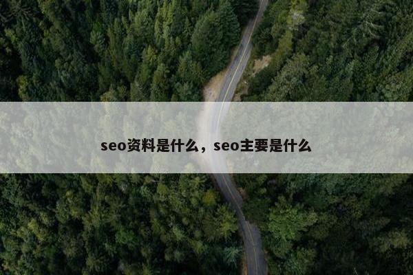 seo资料是什么，seo主要是什么