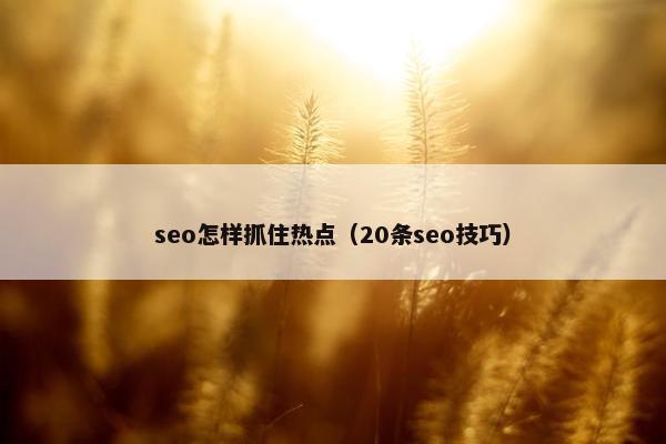 seo怎样抓住热点（20条seo技巧）