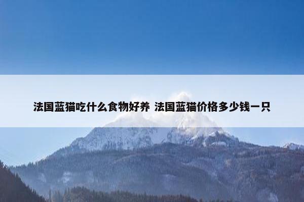 法国蓝猫吃什么食物好养 法国蓝猫价格多少钱一只