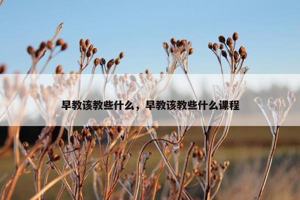 早教该教些什么，早教该教些什么课程