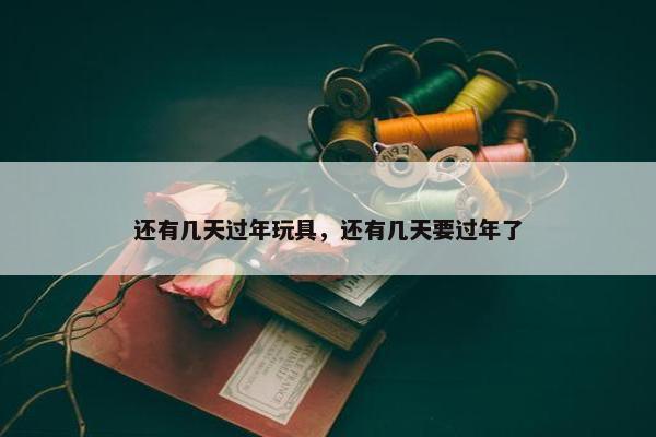 还有几天过年玩具，还有几天要过年了