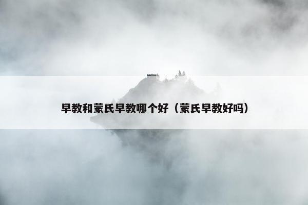 早教和蒙氏早教哪个好（蒙氏早教好吗）