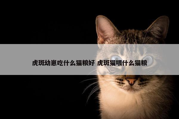 虎斑幼崽吃什么猫粮好 虎斑猫喂什么猫粮