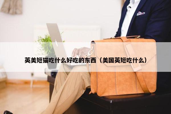 英美短猫吃什么好吃的东西（美国英短吃什么）