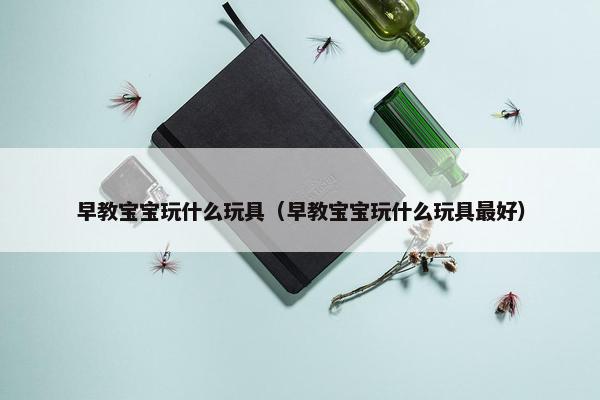 早教宝宝玩什么玩具（早教宝宝玩什么玩具最好）