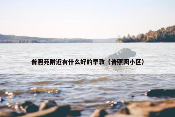 普照苑附近有什么好的早教（普照园小区）