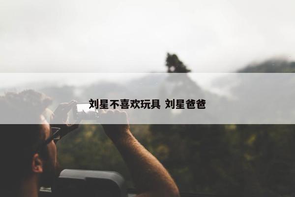 刘星不喜欢玩具 刘星爸爸