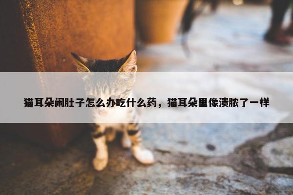 猫耳朵闹肚子怎么办吃什么药，猫耳朵里像溃脓了一样