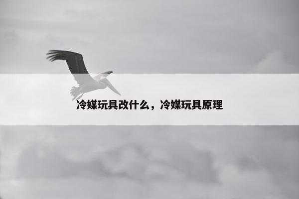 冷媒玩具改什么，冷媒玩具原理