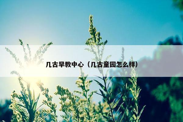 几古早教中心（几古童园怎么样）