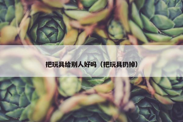 把玩具给别人好吗（把玩具扔掉）