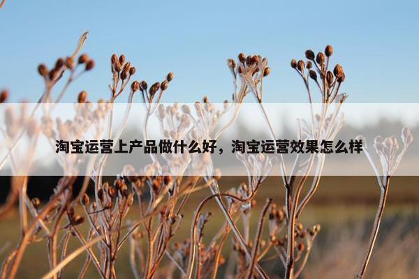 淘宝运营上产品做什么好，淘宝运营效果怎么样