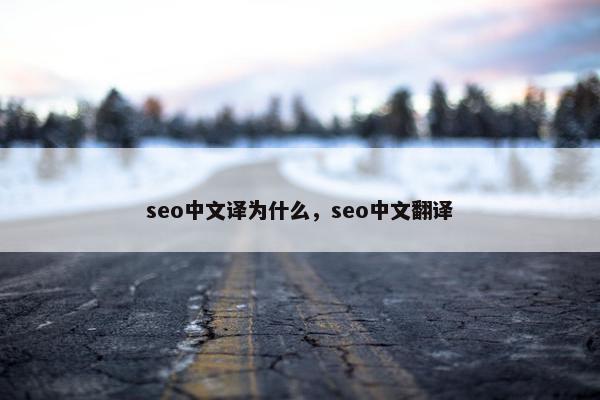 seo中文译为什么，seo中文翻译