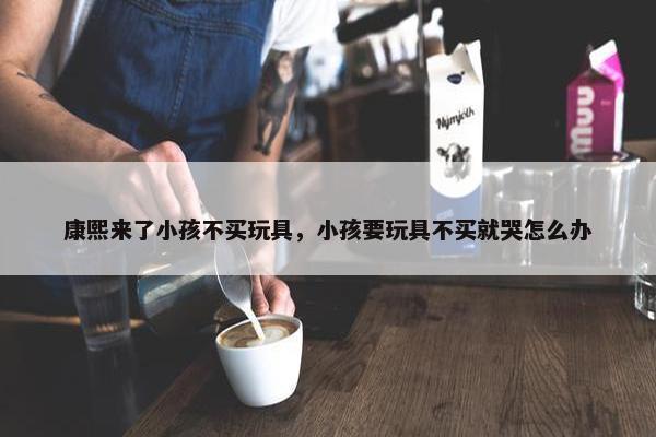 康熙来了小孩不买玩具，小孩要玩具不买就哭怎么办