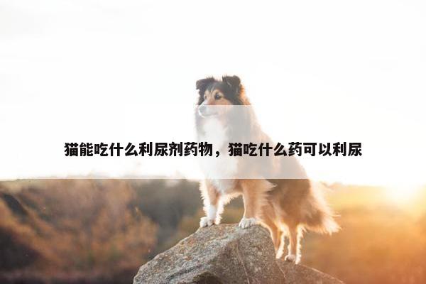 猫能吃什么利尿剂药物，猫吃什么药可以利尿