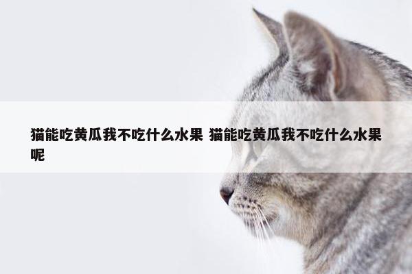 猫能吃黄瓜我不吃什么水果 猫能吃黄瓜我不吃什么水果呢