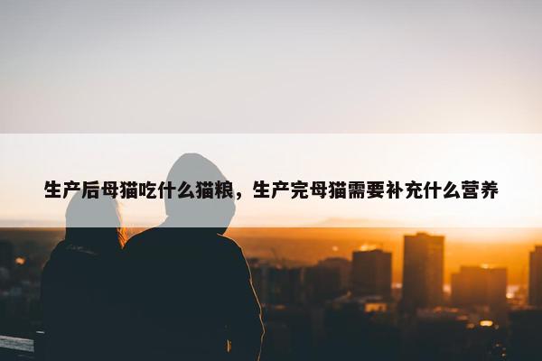 生产后母猫吃什么猫粮，生产完母猫需要补充什么营养